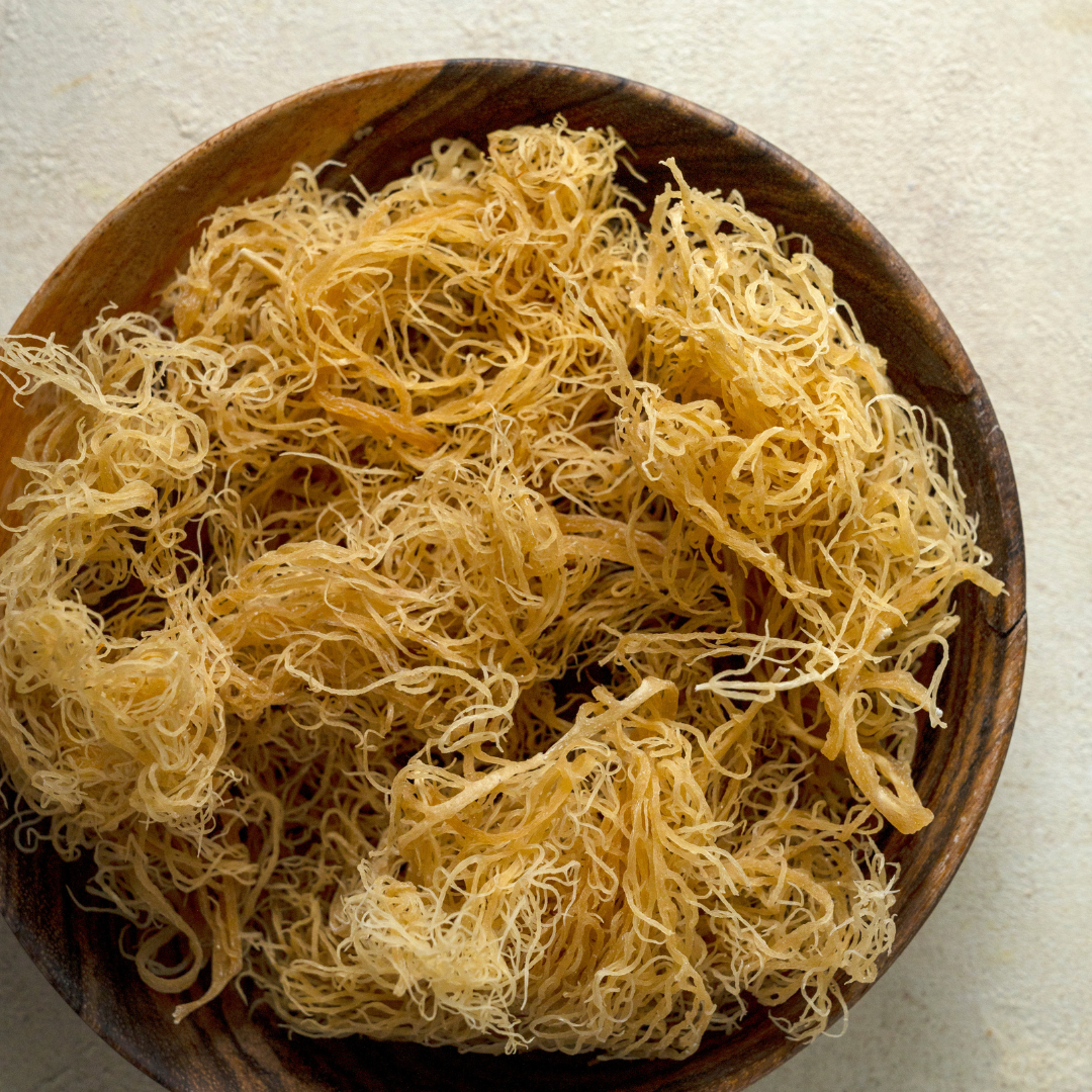 History Behind Sea Moss