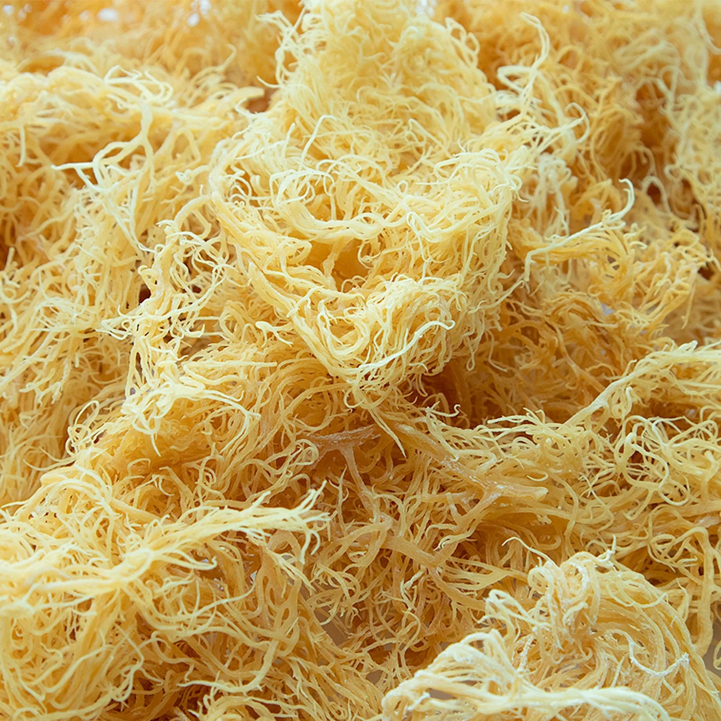 Benefits of Sea Moss