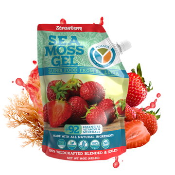 Sea Moss Gel - 16oz Wildcrafted