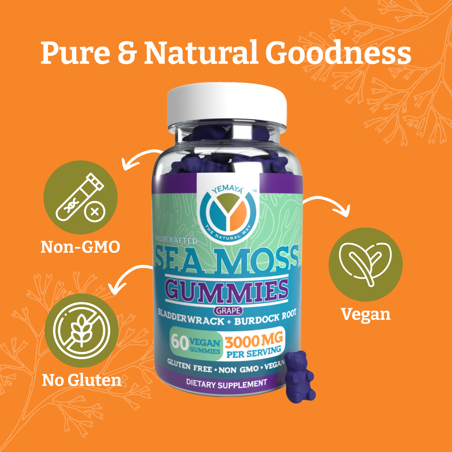 
                  
                    Sea Moss Gummies
                  
                