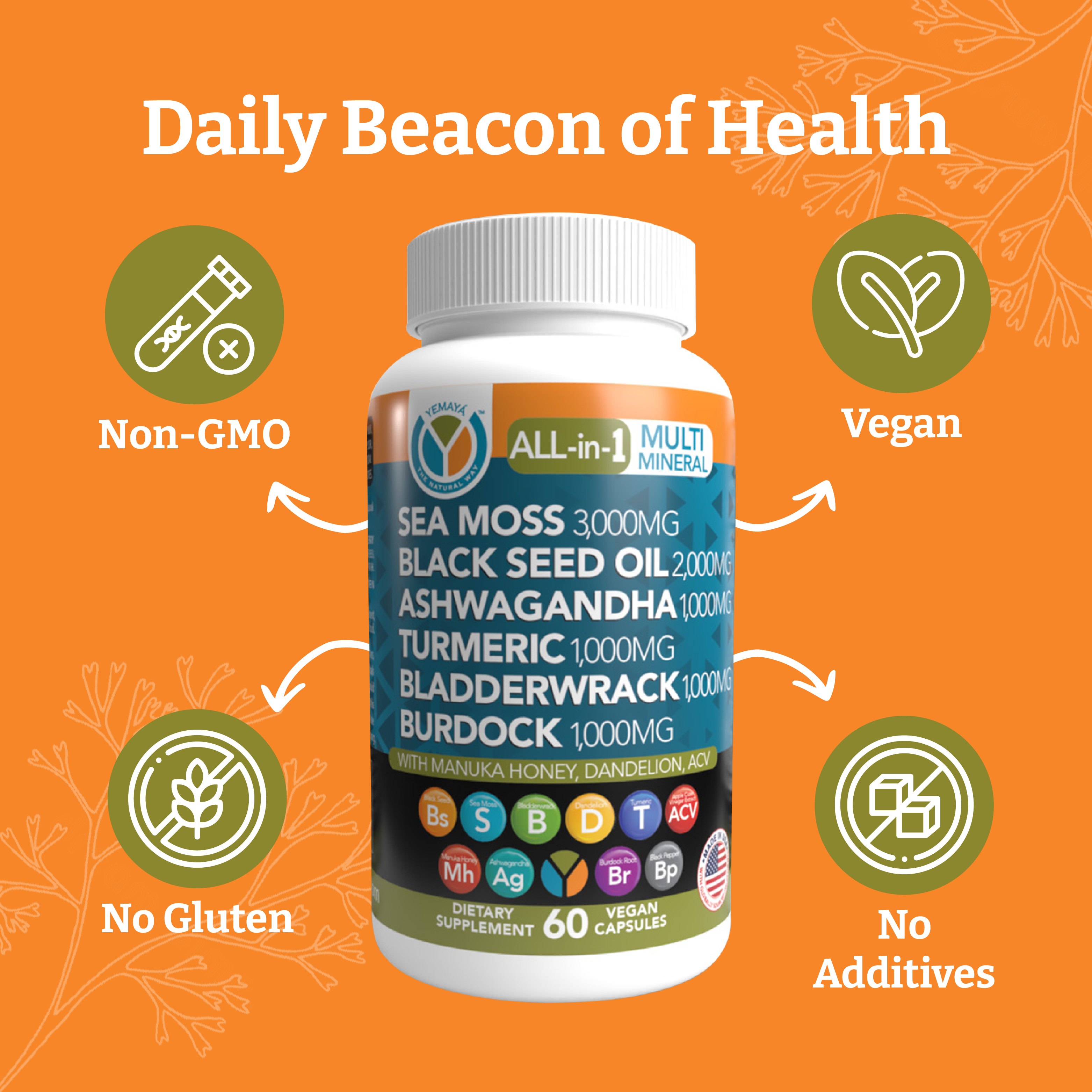 Multi-Mineral Sea Moss Black Seed Capsules