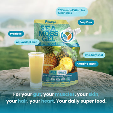 Sea Moss Gel - 16oz Wildcrafted