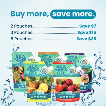 Sea Moss Gel - 16oz Wildcrafted