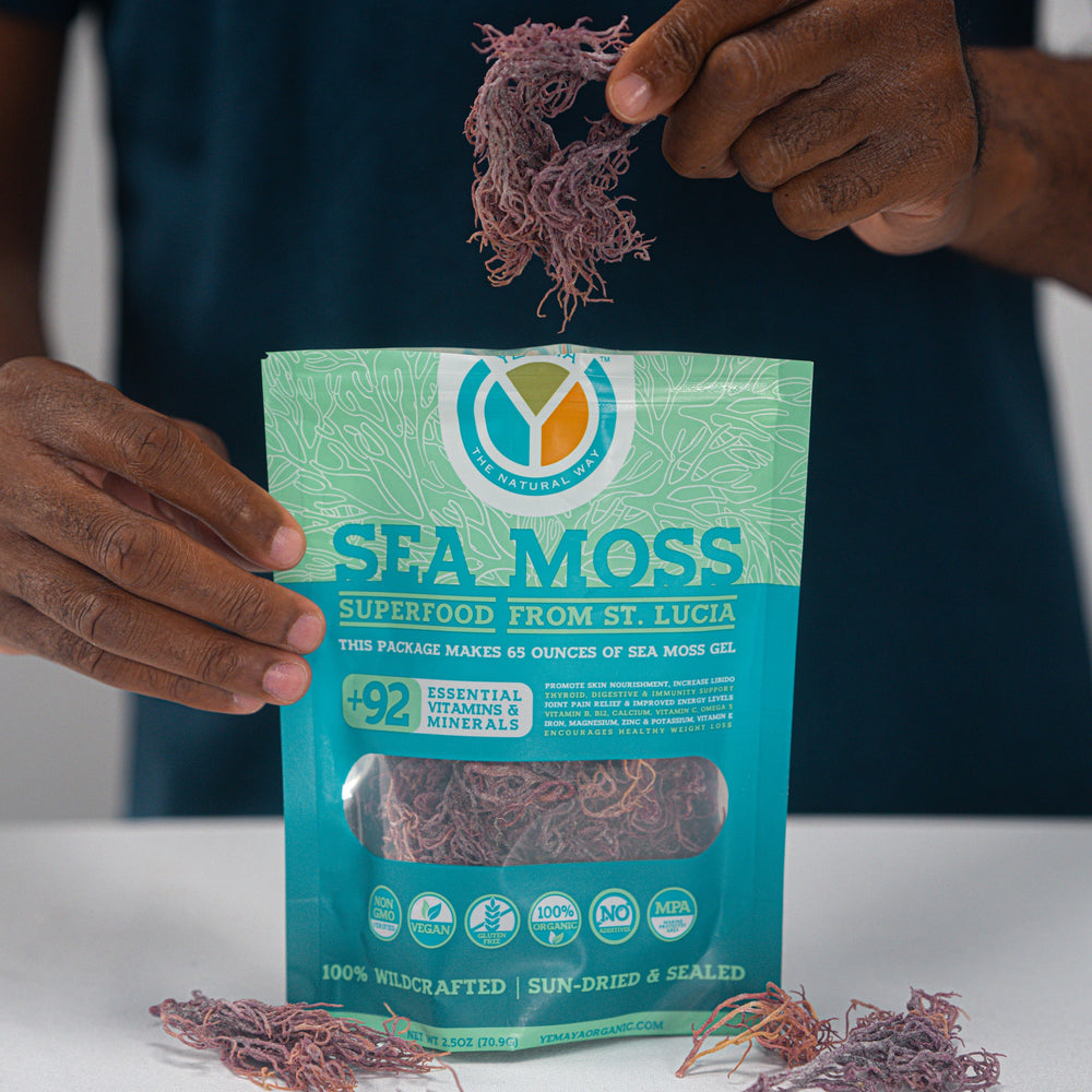 Wildcrafted PURPLE Sea Moss