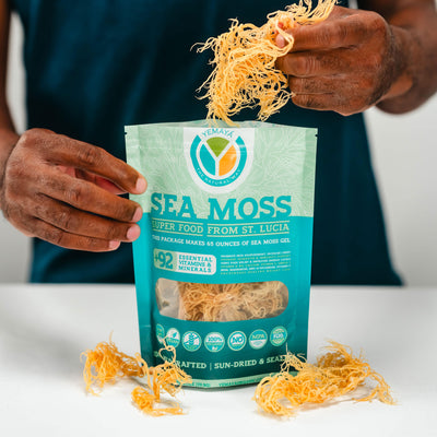 Wildcrafted GOLD Sea Moss 2.5 oz
