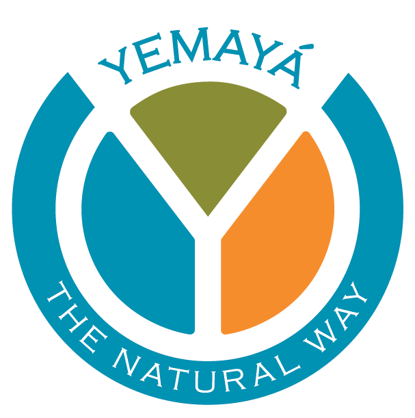 The Wellness Bundle