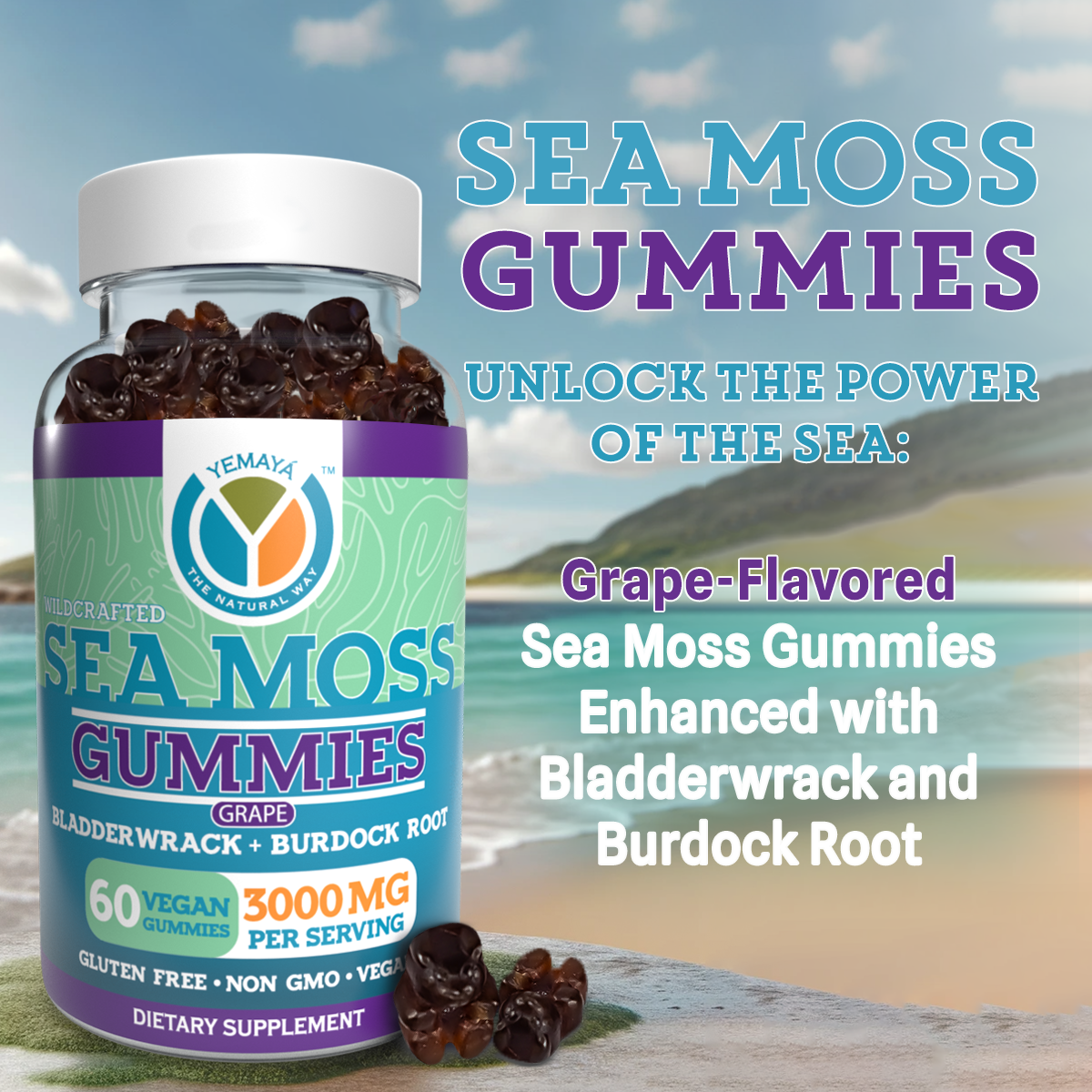 
                  
                    Sea Moss Gummies
                  
                